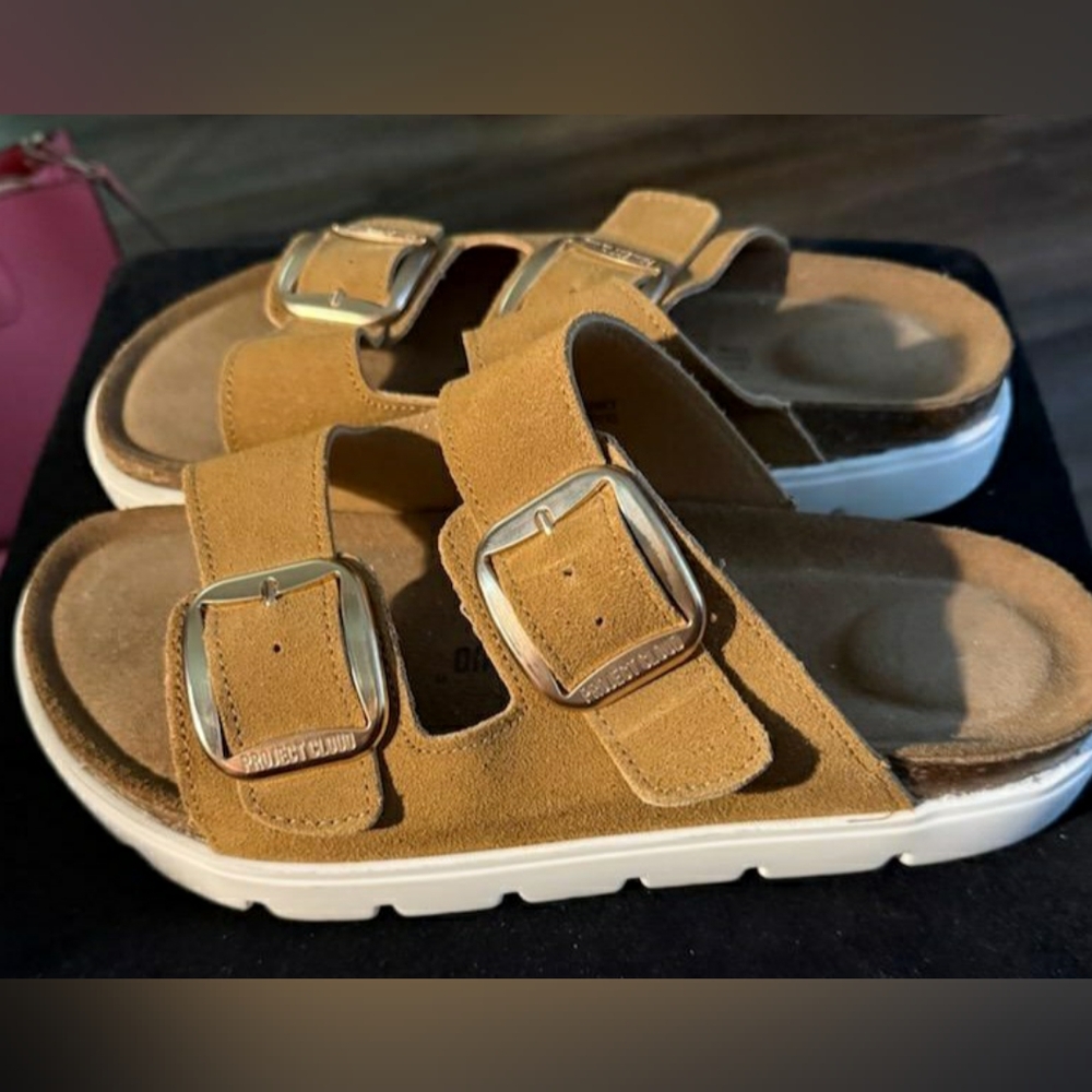 Project Cloud Chunky Platform Sandals - image 1